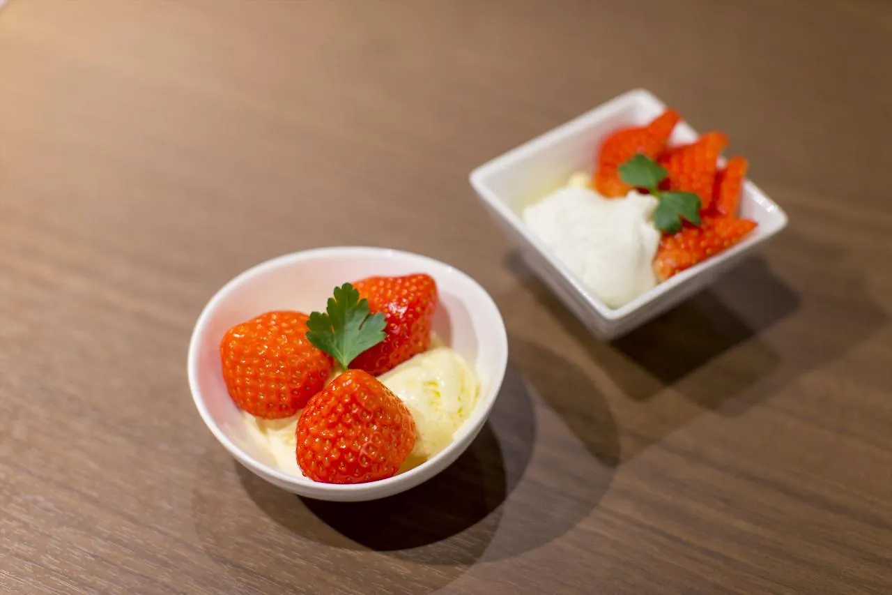 Stay Osaka Guest house